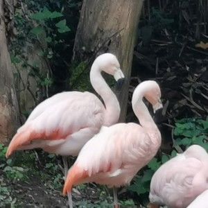 Meet your Posher, Wiktoria